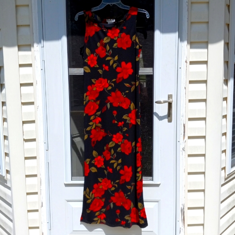 Sleeveless slitted beautifully printed black dress with red roses.